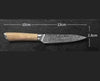 Damascus Kitchen Knife